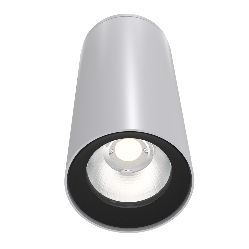 Men's Competition Barbell Set